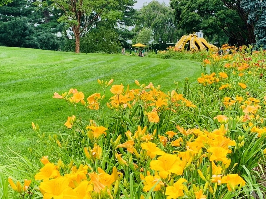 tq3vAa-_25A7wKjIpnDeY6nVQoc