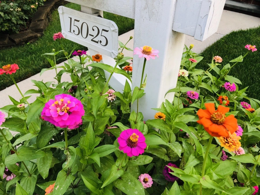 IMG_3642.jpg?type=w966