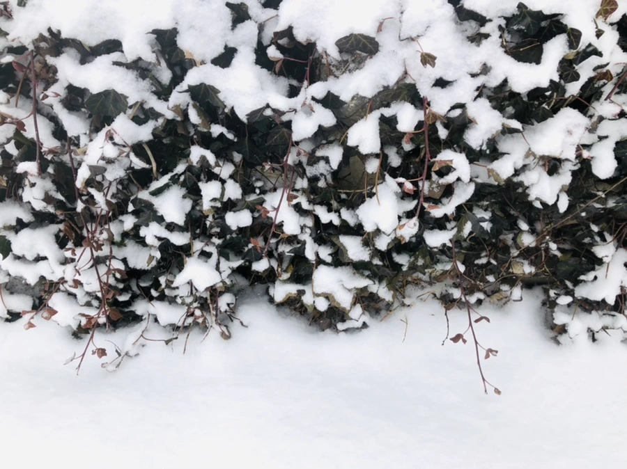 IMG_3331.jpg?type=w966