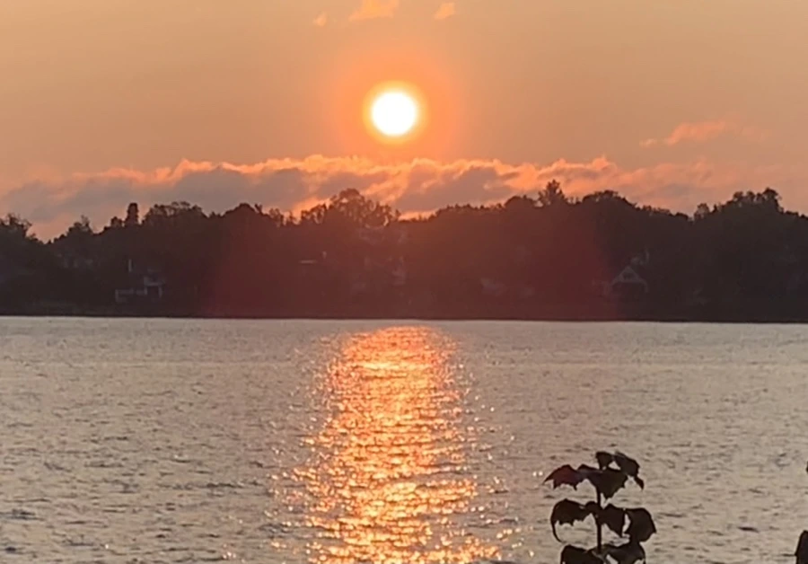 IMG_5503.jpg?type=w966