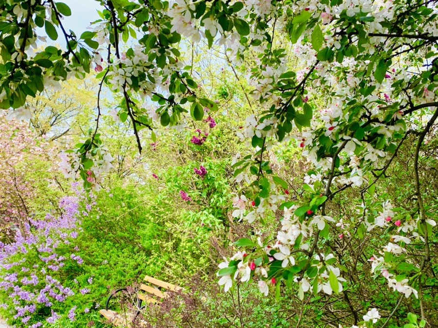 IMG_6989.jpg?type=w966