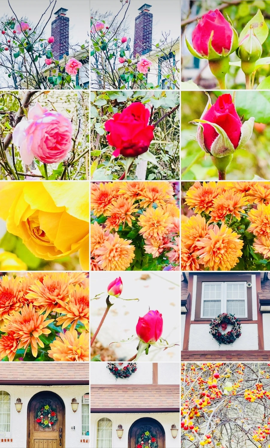 IMG_6226.jpg?type=w966