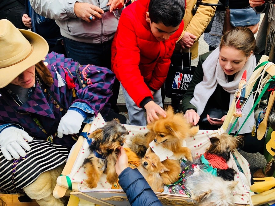 IMG_3980.jpg?type=w966