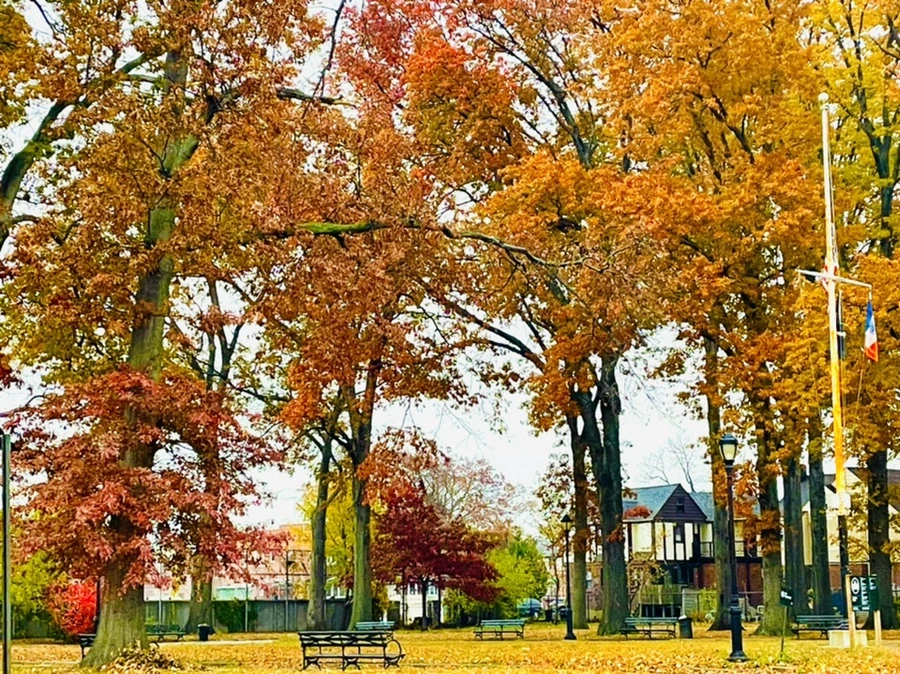 IMG_4903.jpg?type=w966