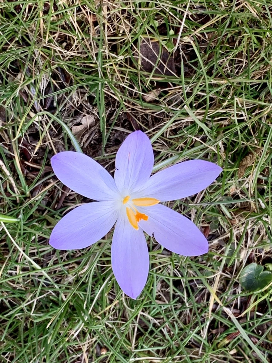 IMG_9208.jpg?type=w966