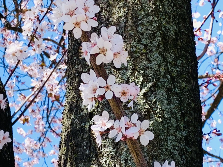 IMG_7984.jpg?type=w966