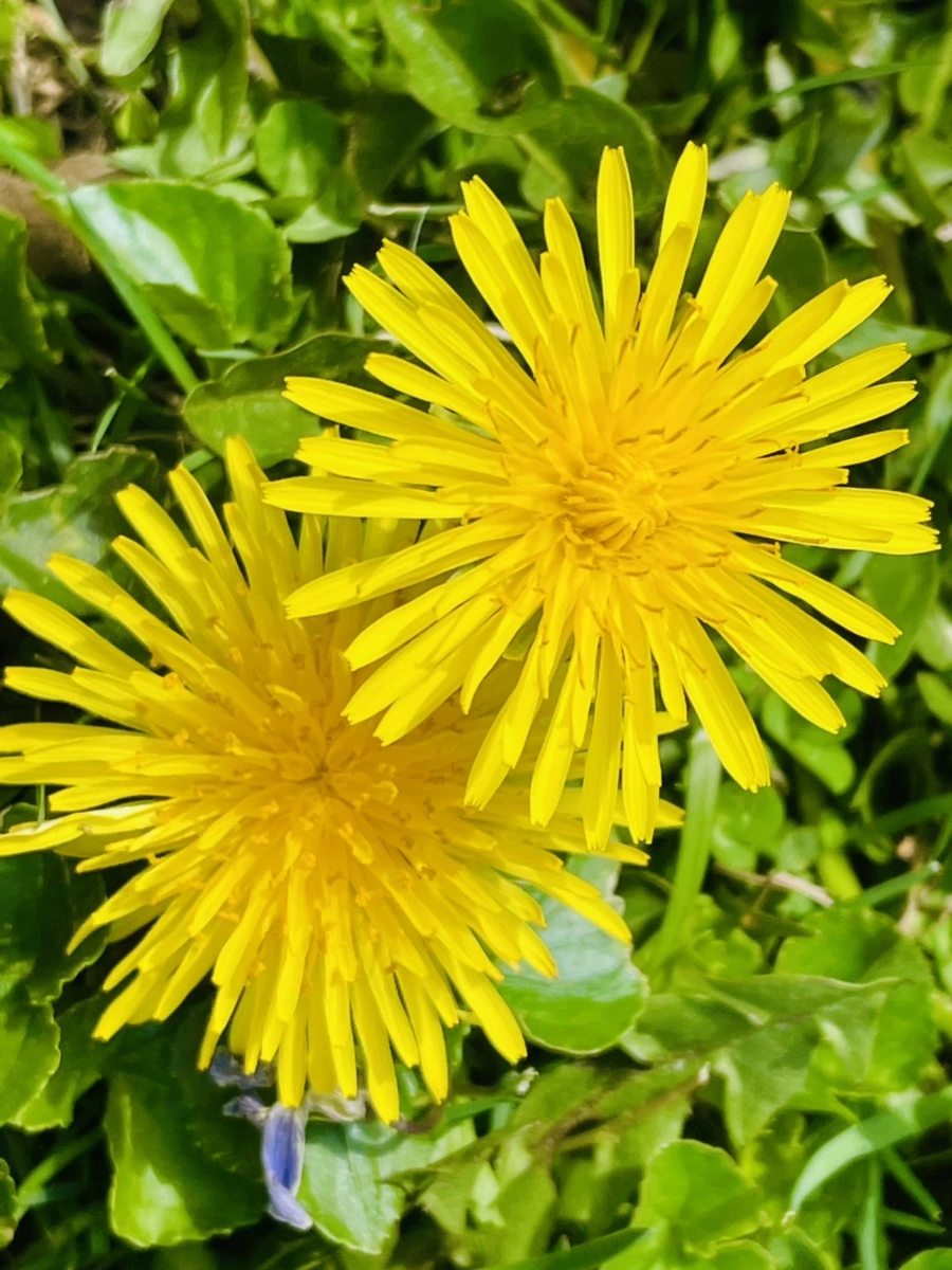 IMG_2321.jpg?type=w966