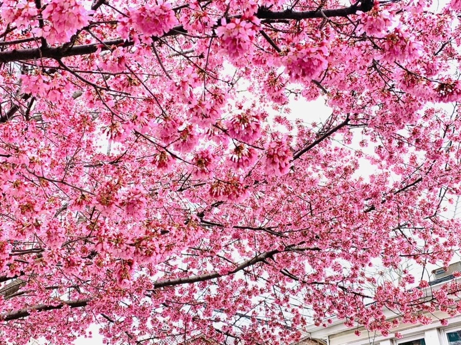 KMkPsd5yRCqDmltPlnDijbpVH-g