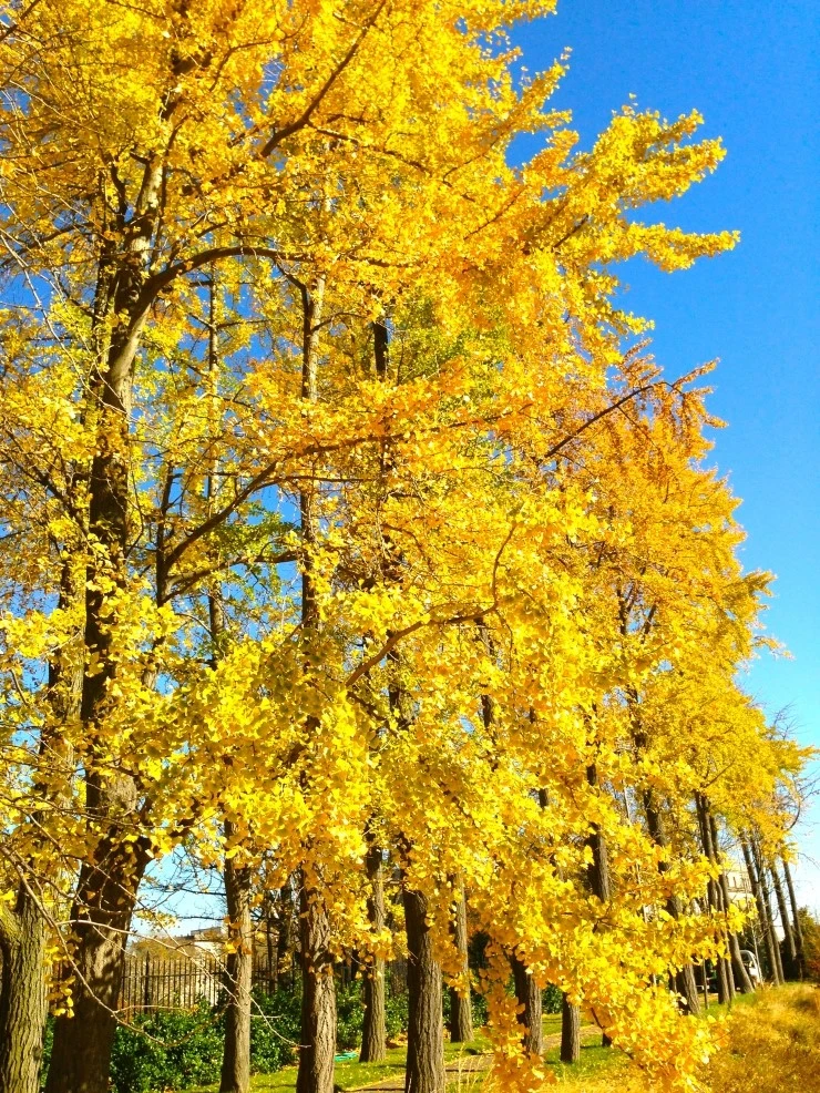 IMG_7519.jpg?type=w1