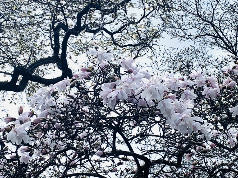 IMG_6482.jpg?type=w966