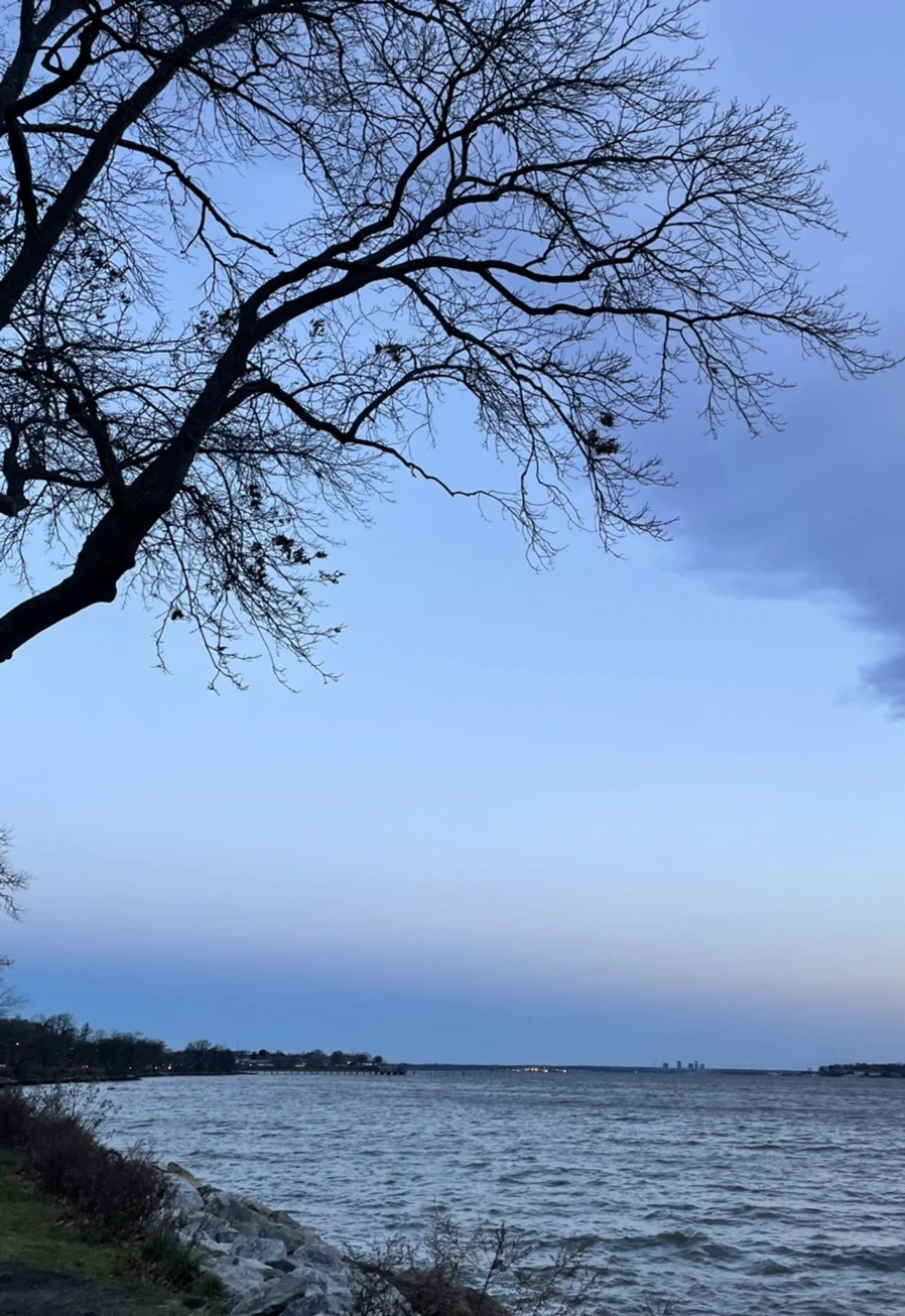 IMG_6569.jpg?type=w966