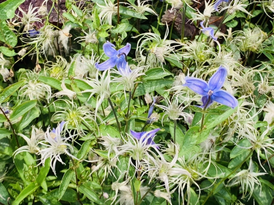 IMG_9444.jpg?type=w966