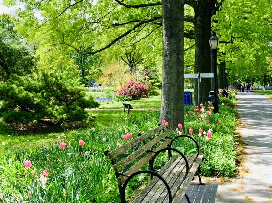 5XDEnayadwDJM5PIiiInsBqrW-0