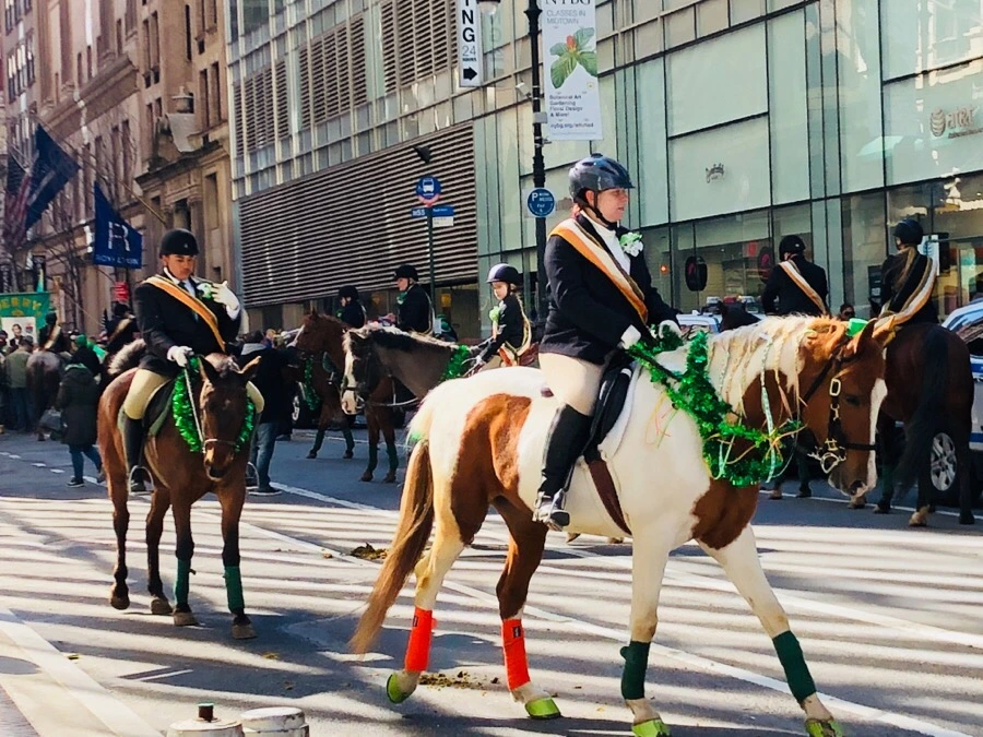 IMG_3379.jpg?type=w966