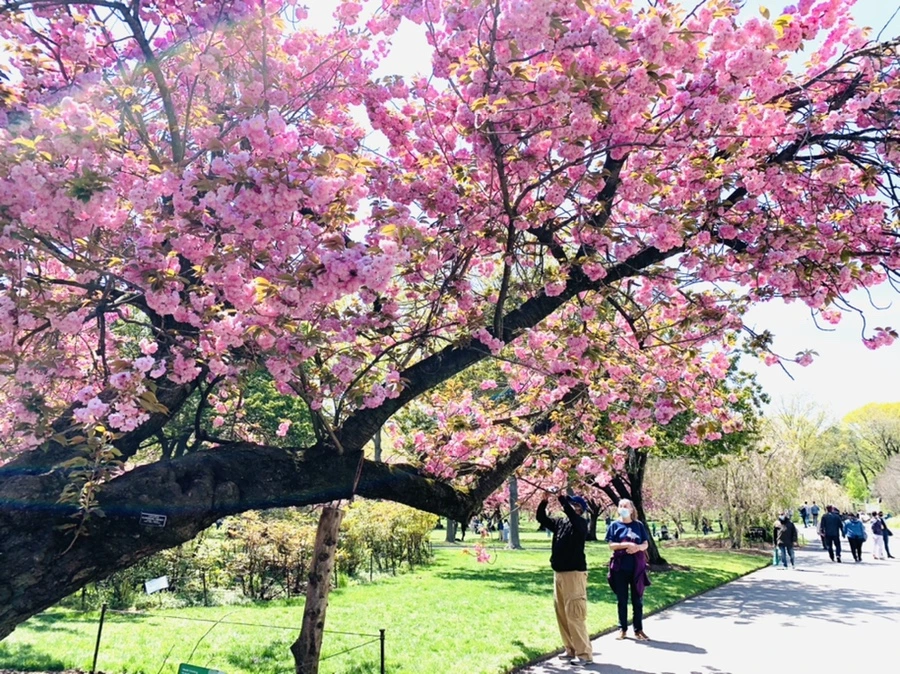 IMG_6432.jpg?type=w966