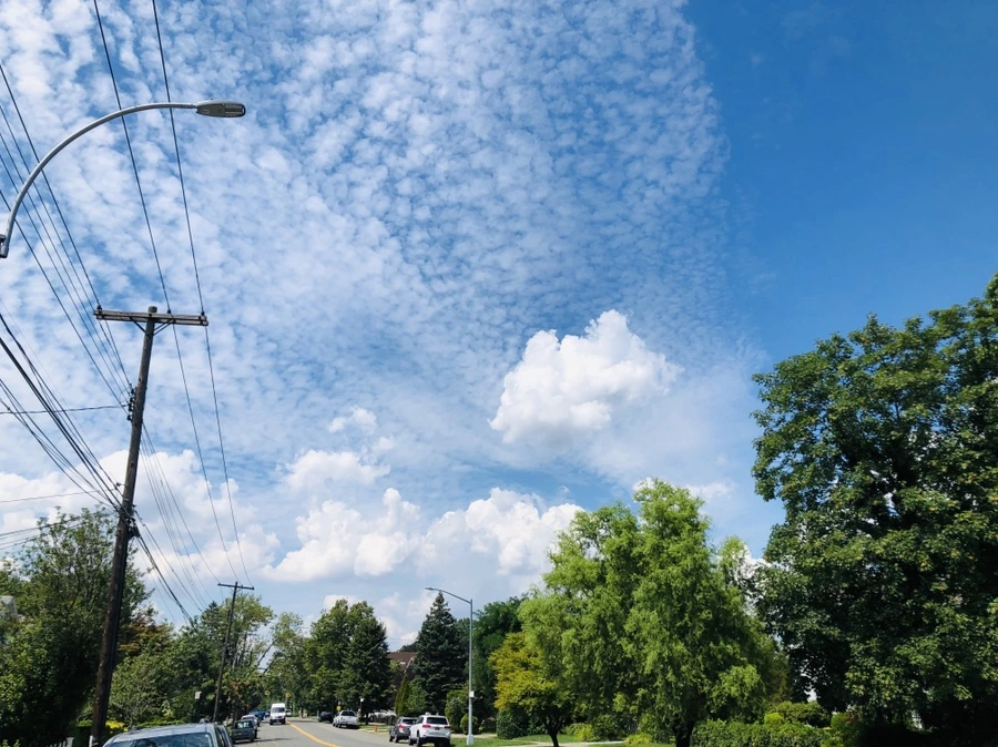 IMG_5249.jpg?type=w966