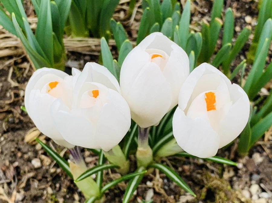 IMG_3497.jpg?type=w966