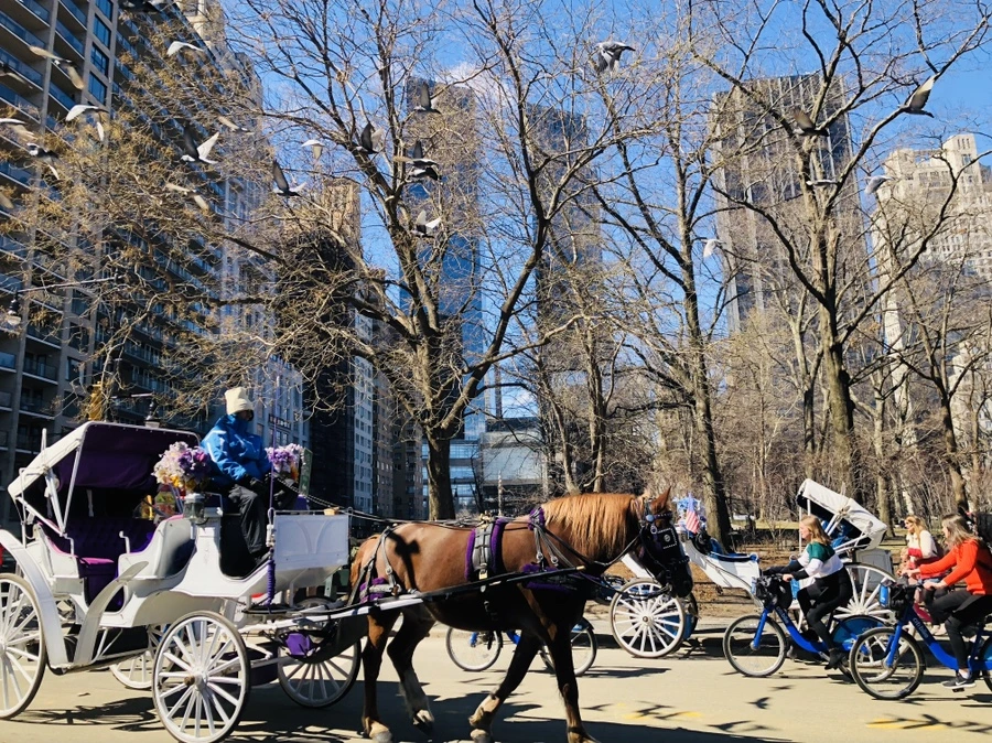 IMG_1174.jpg?type=w966