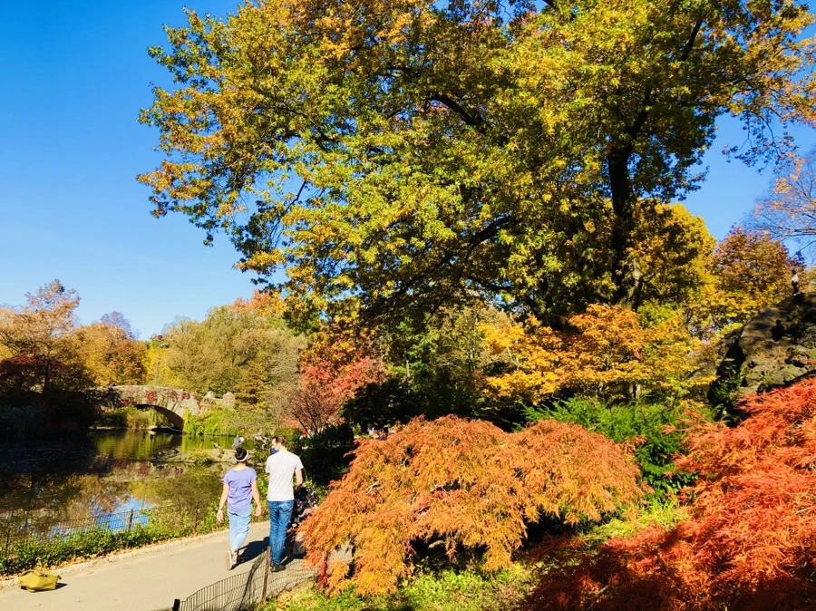 IMG_3773.jpg?type=w966