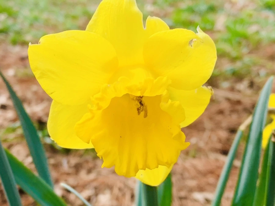 IMG_6355.jpg?type=w966