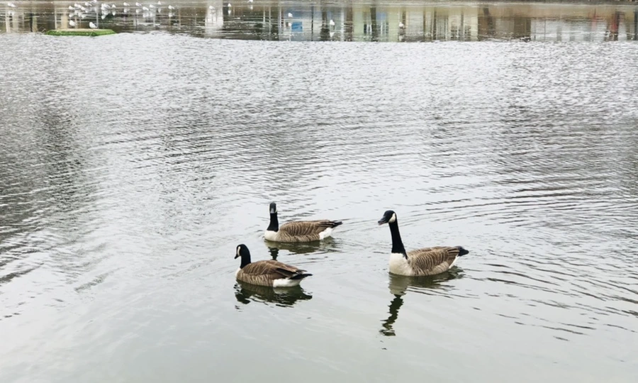 IMG_3254.jpg?type=w966