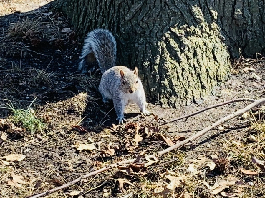 IMG_6940.jpg?type=w966