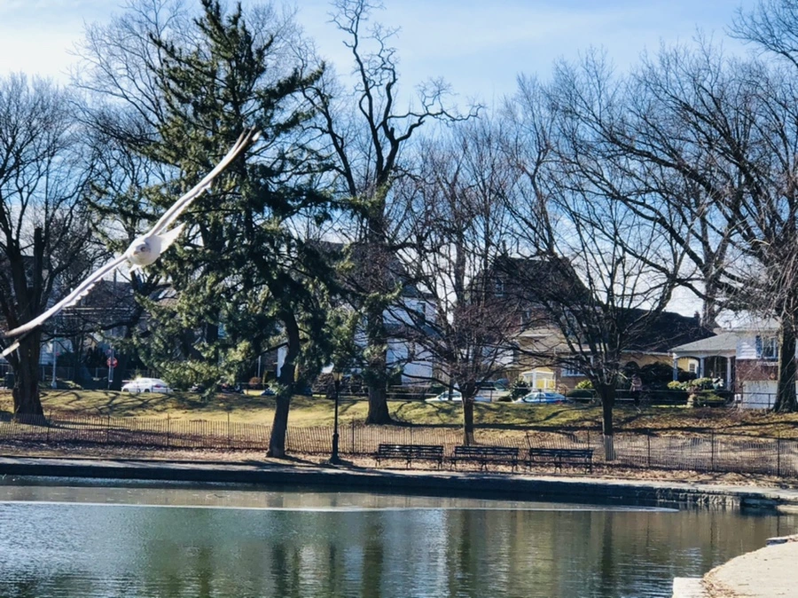 IMG_5385.jpg?type=w966