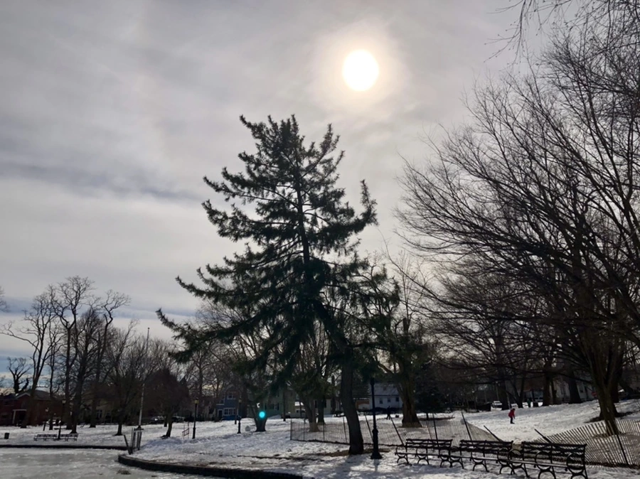 IMG_3097.jpg?type=w966