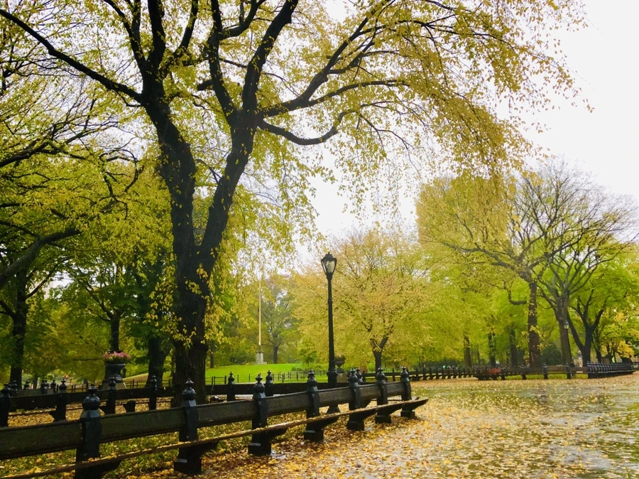 IMG_3137.jpg?type=w966