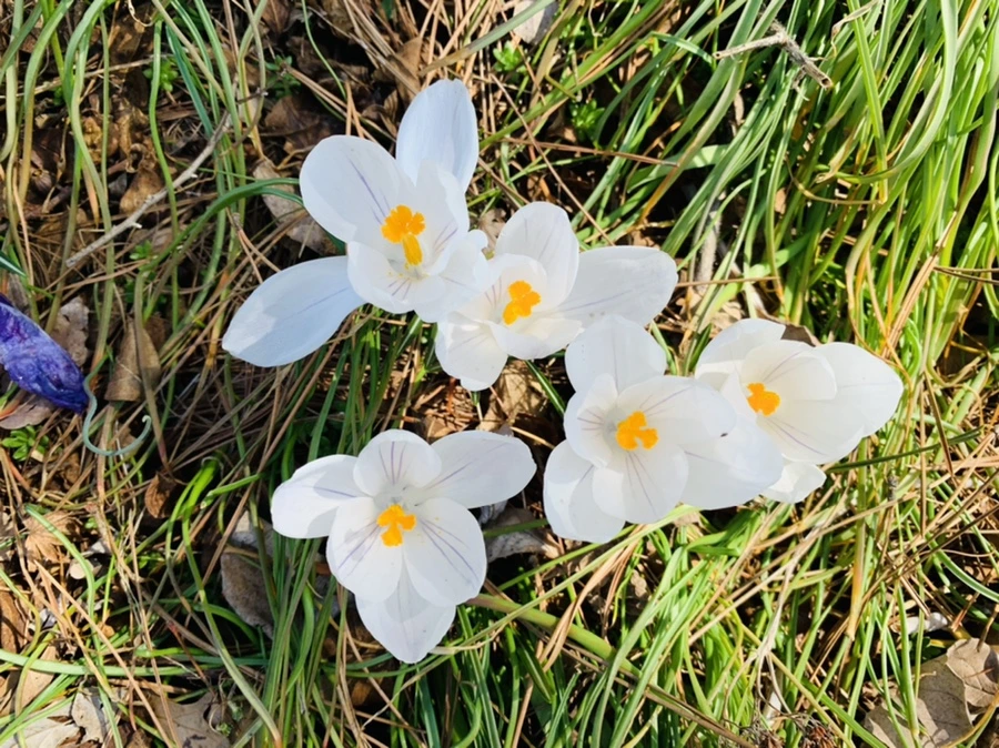 IMG_4362.jpg?type=w966