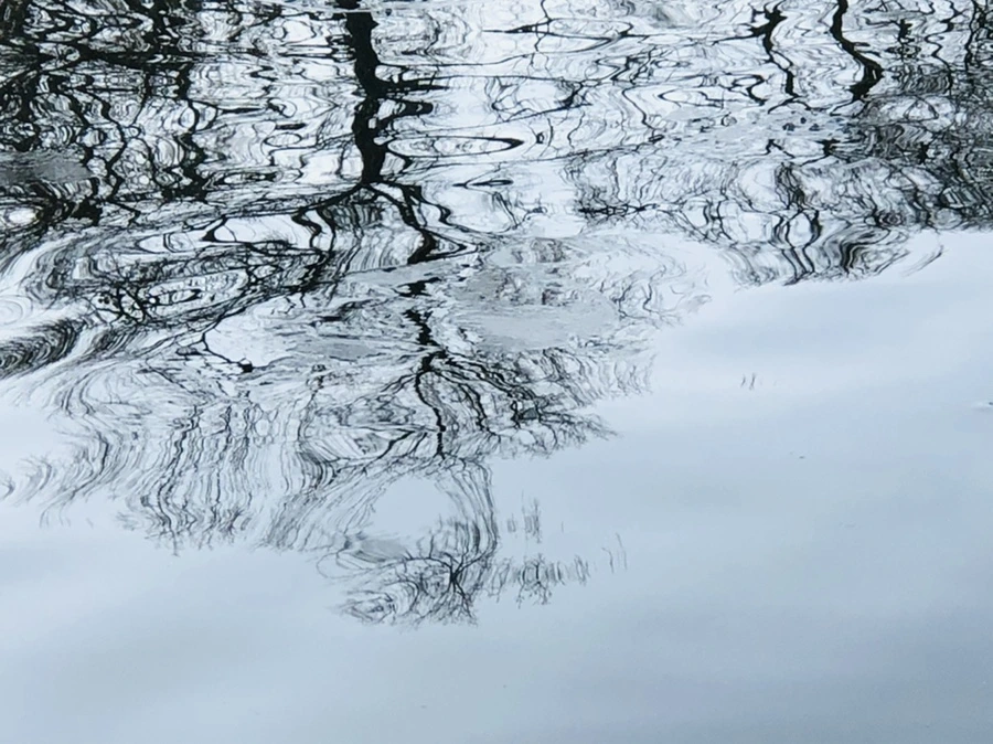 IMG_2645.jpg?type=w966