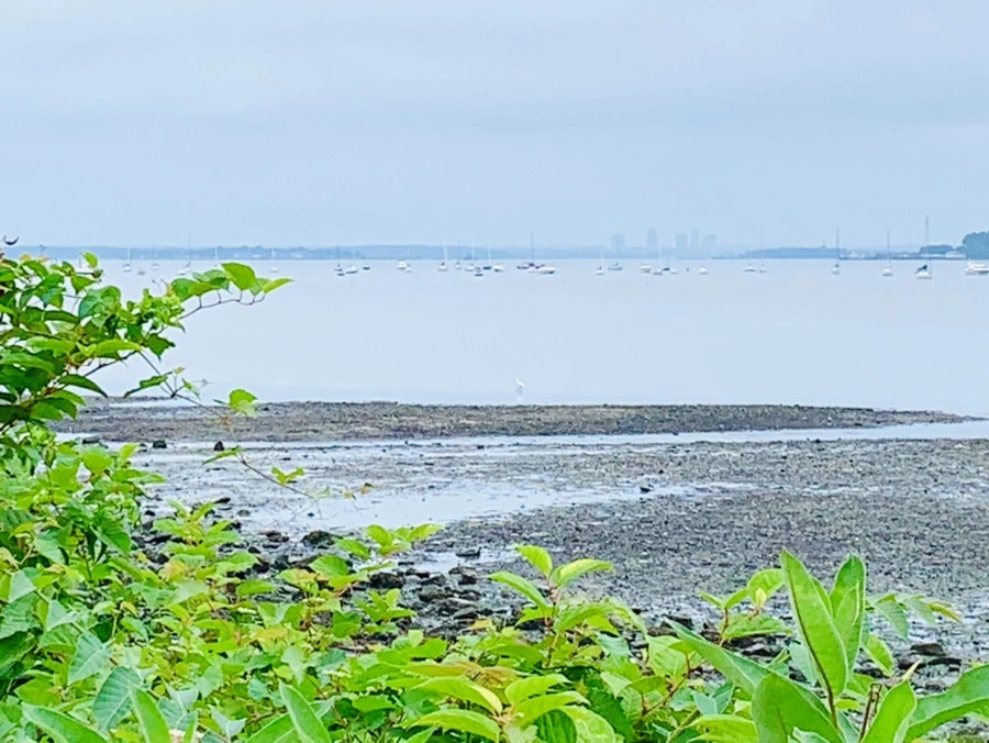 IMG_3780.jpg?type=w966