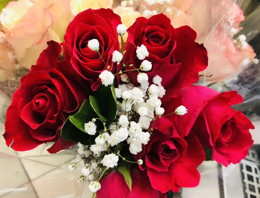 IMG_8743.jpg?type=w966