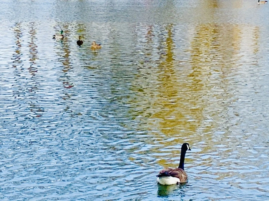 CVzwemxLNUmGhtAXoqwVThcgtDw