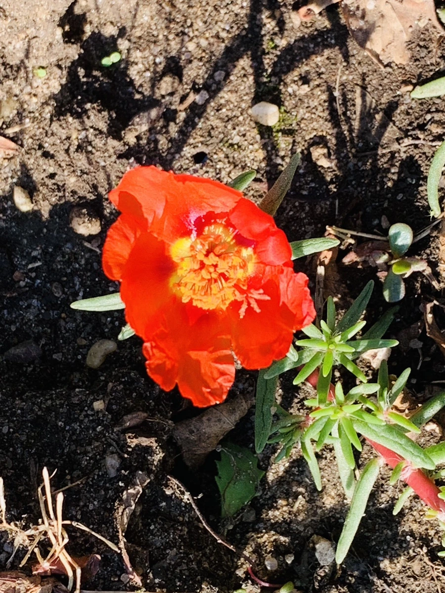 IMG_8417.jpg?type=w966