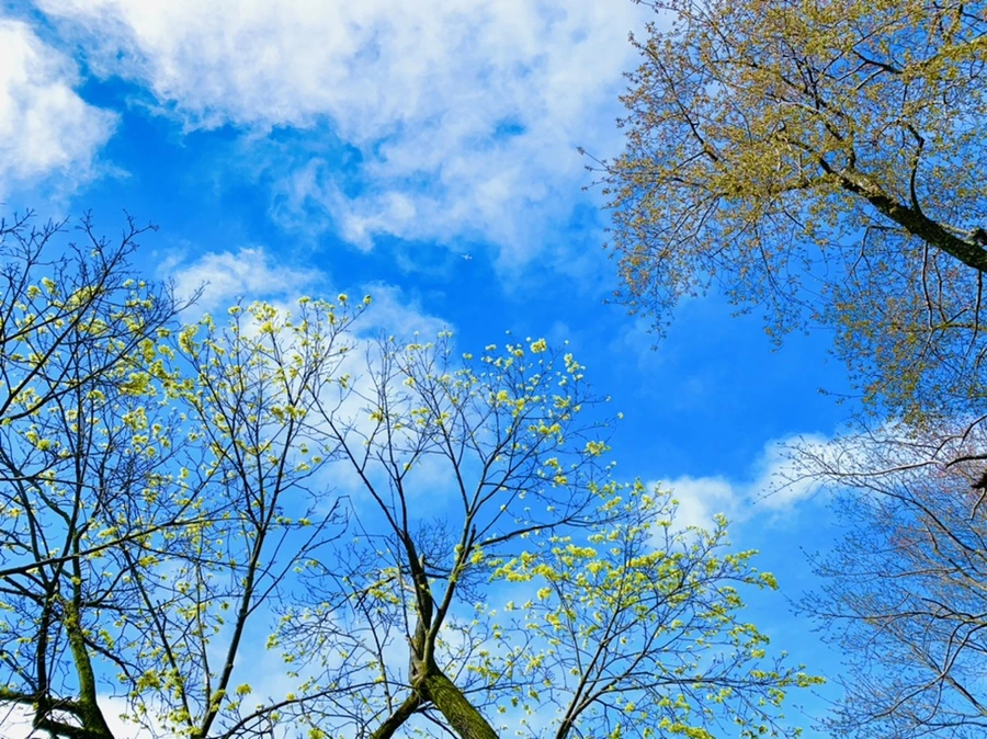 IMG_1499.jpg?type=w966