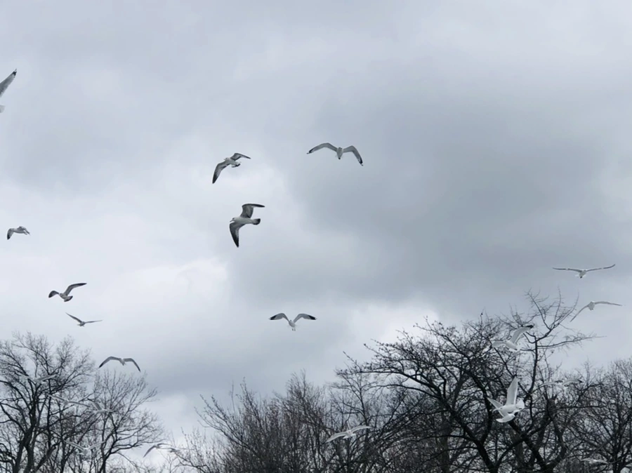 IMG_6478.jpg?type=w966