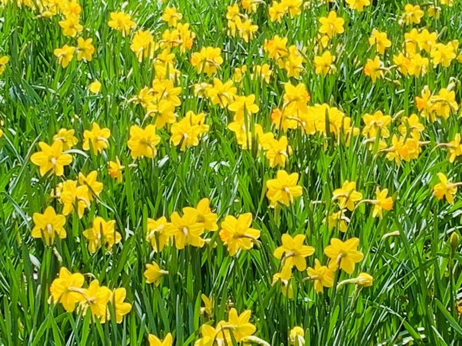 HwxQPooXkl4r0xchKUks1CQH83s