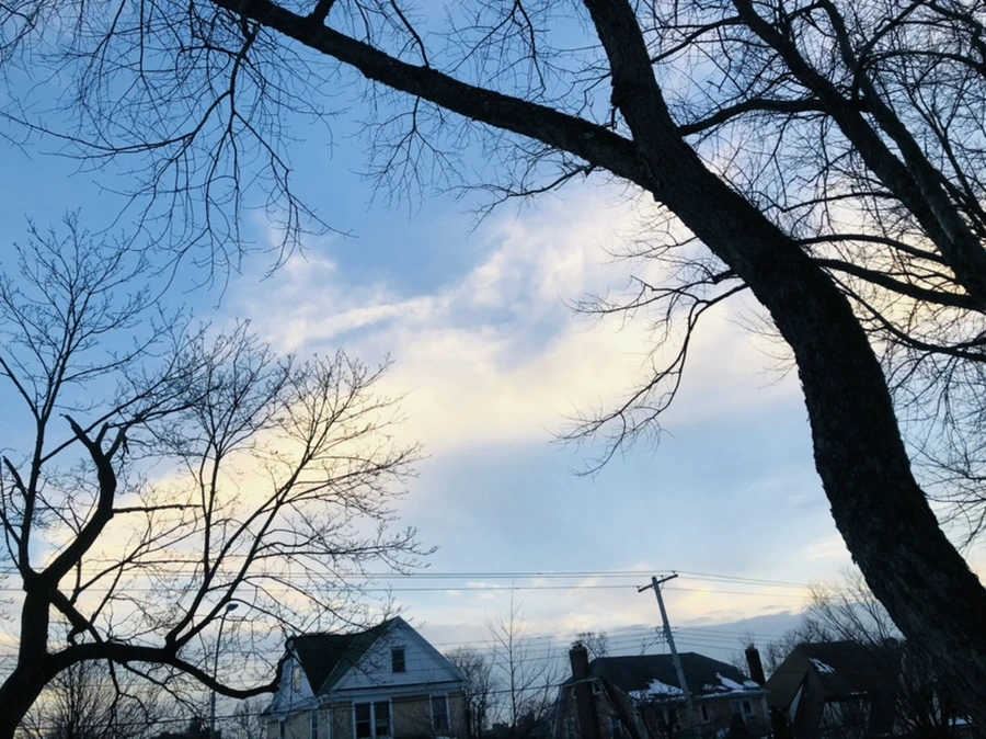 IMG_2657.jpg?type=w966