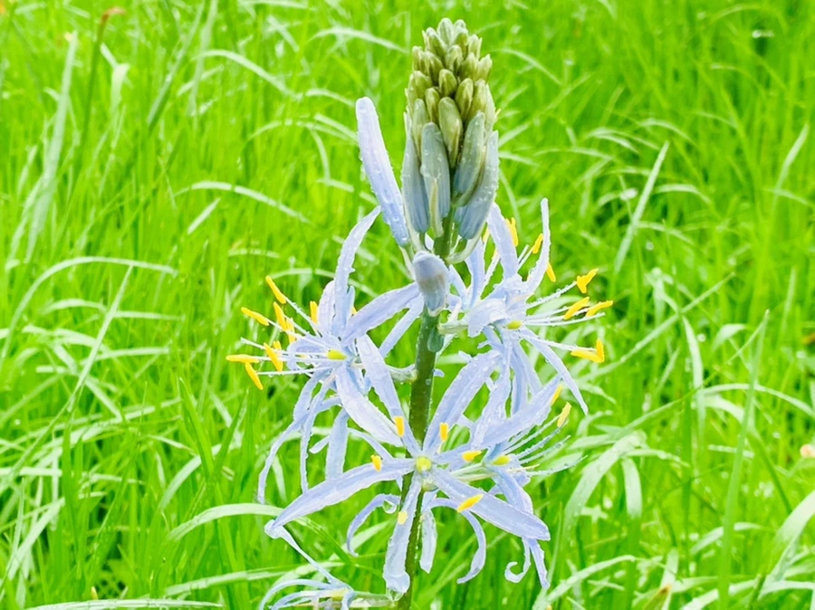 IMG_9904.jpg?type=w966