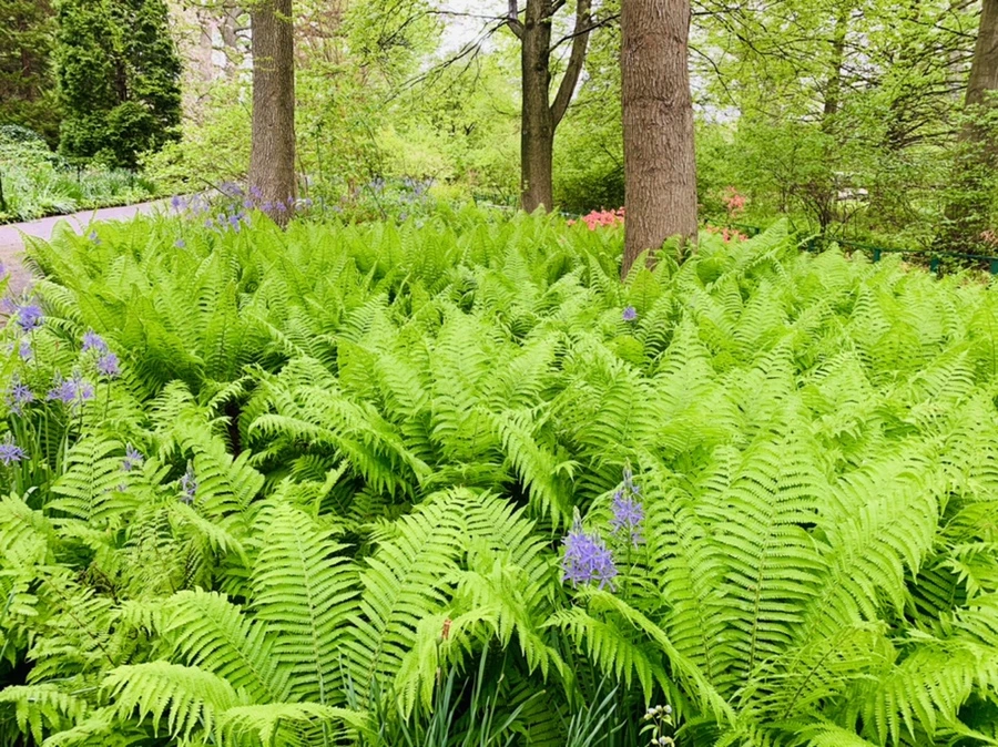 IMG_9798.jpg?type=w966