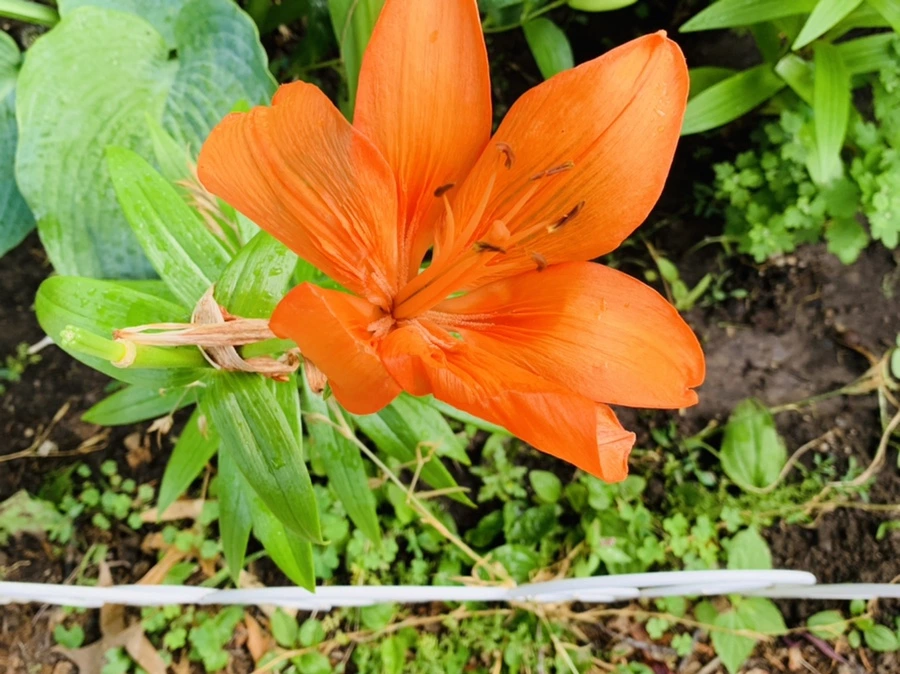 IMG_7283.jpg?type=w966