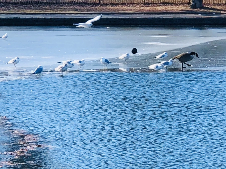 IMG_6585.jpg?type=w966