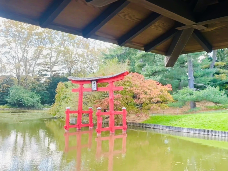 IMG_0167.jpg?type=w966