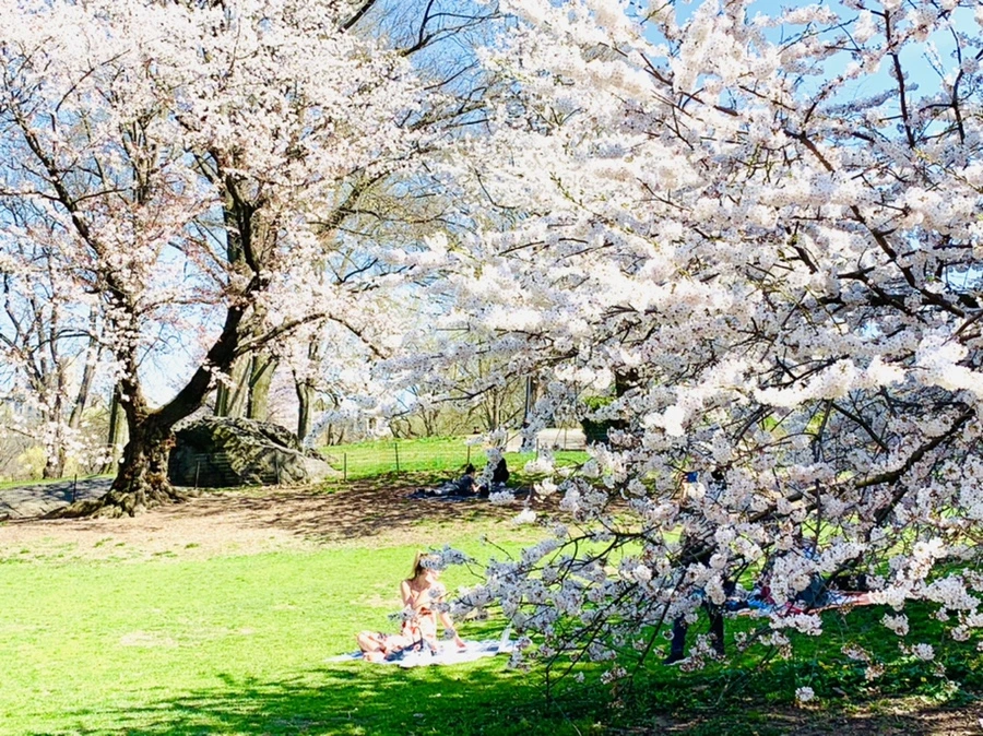 IMG_8982.jpg?type=w966