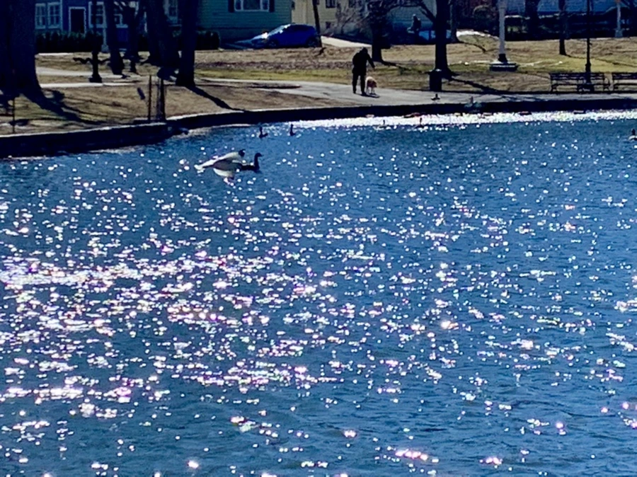 IMG_7582.jpg?type=w966