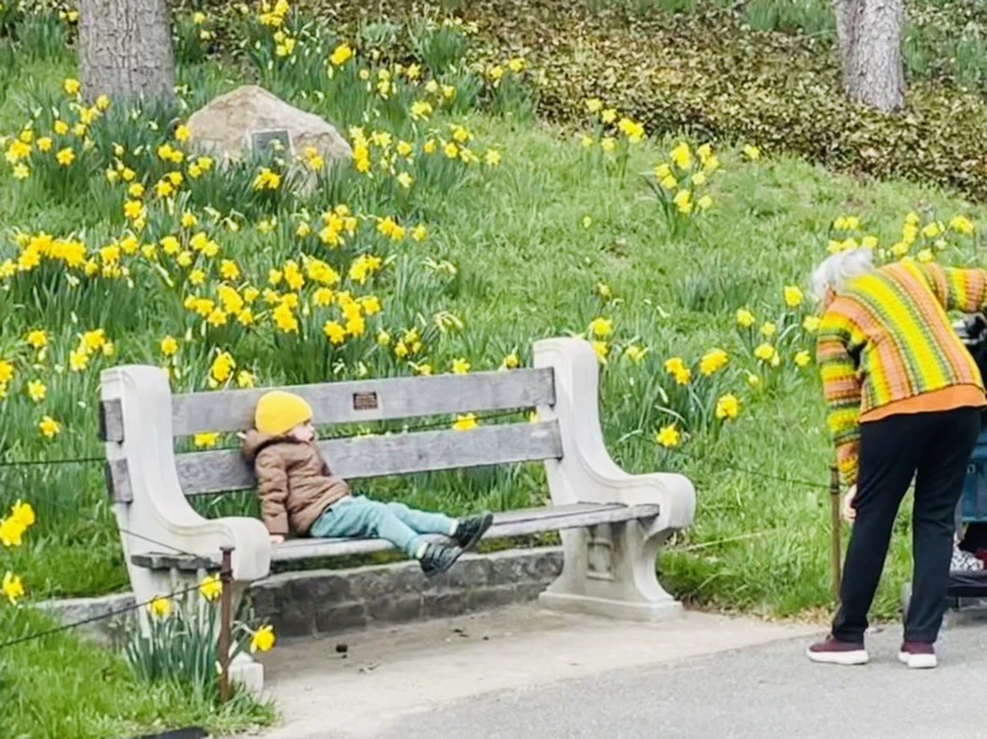 IMG_6719.jpg?type=w966