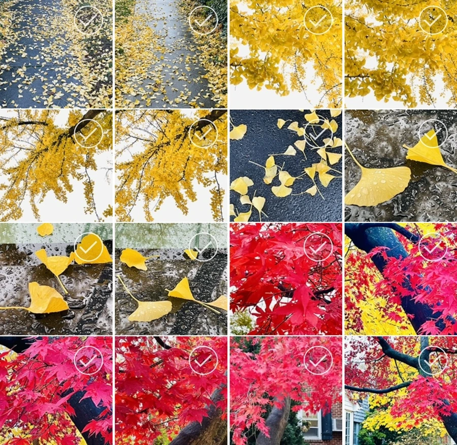 IMG_4952.jpg?type=w966