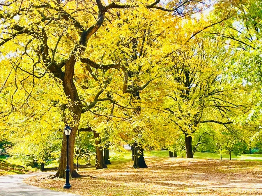 IMG_0300.jpg?type=w966