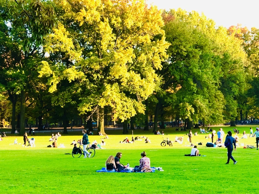 IMG_3651.jpg?type=w966